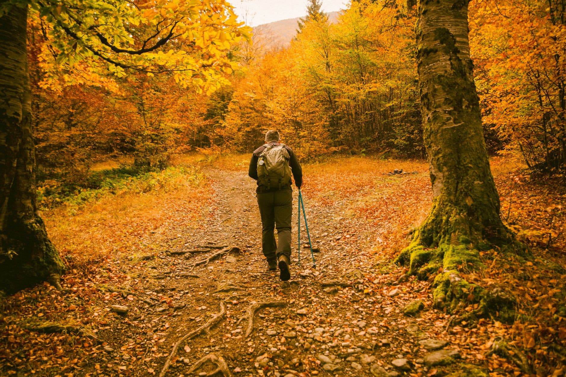 Excursiones de otoño: 5 imprescindibles de senderismo 2026